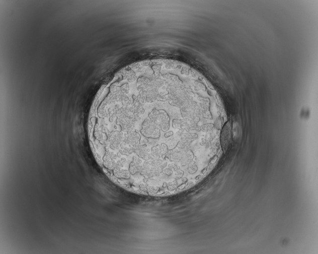 X0000102840771200809151103