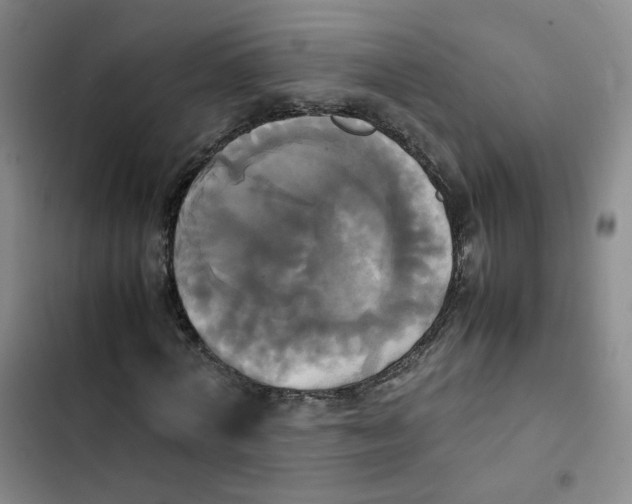 X0000102840772200809151103