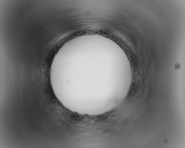 X0000102840773200809151103