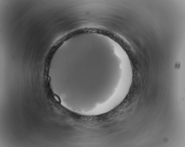 X0000102840775200809151103