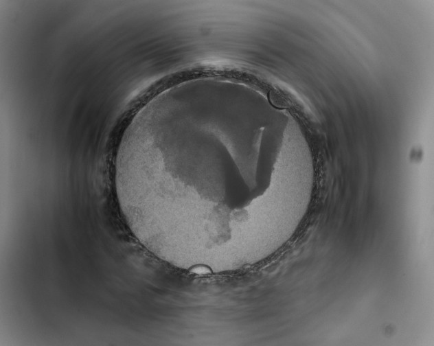 X0000102840776200809151103