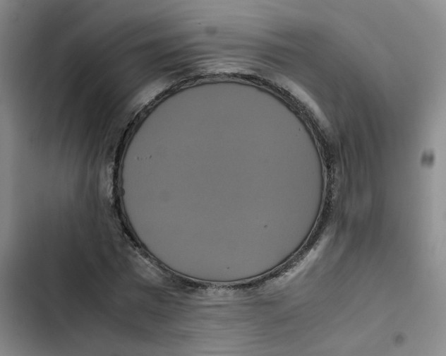 X0000102840777200809151103