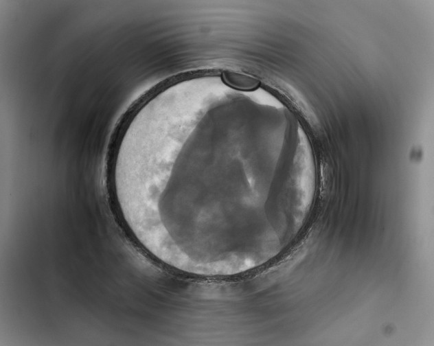 X0000102840780200809151103