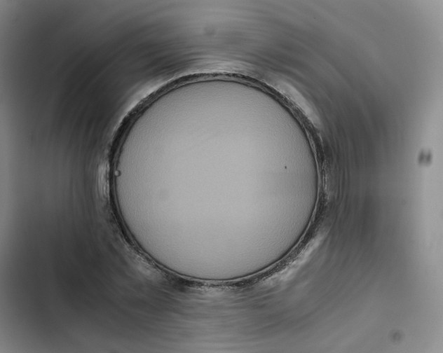 X0000102840781200809151103