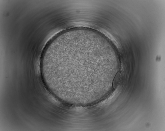 X0000102840782200809151103