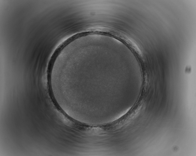 X0000102840784200809151103