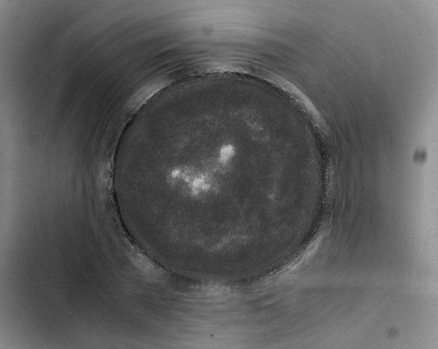 X0000102840785200809151103