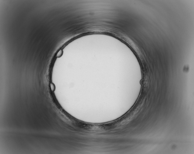 X0000102840787200809151103