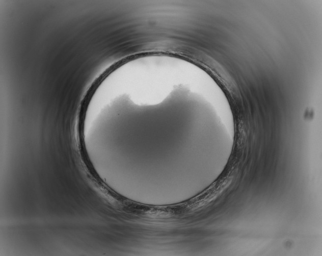 X0000102840788200809151103