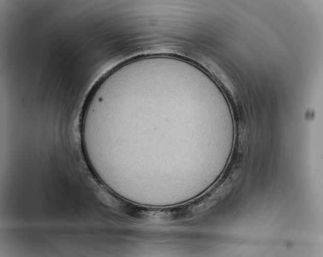 X0000102840789200809151103