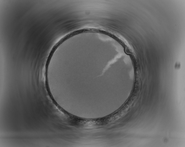 X0000102840791200809151103