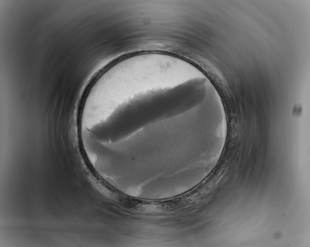 X0000102840792200809151103