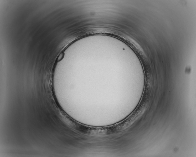 X0000102840793200809151103