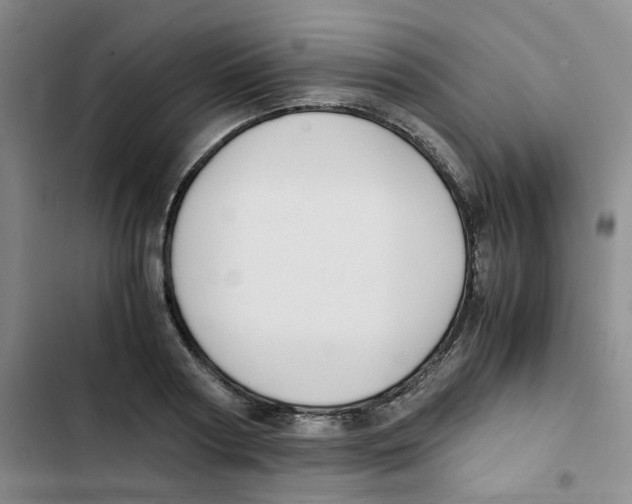 X0000102840794200809151103