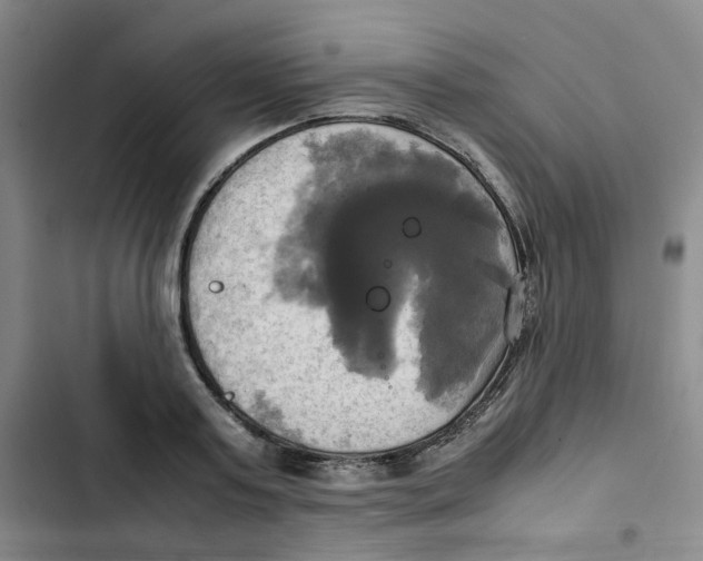 X0000102840795200809151103