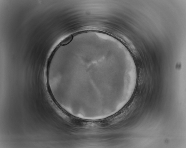 X0000102840796200809151103