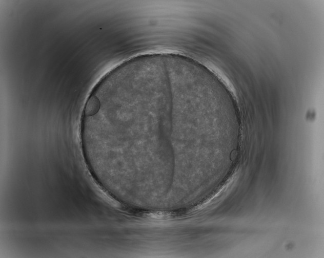 X0000102840797200809151103