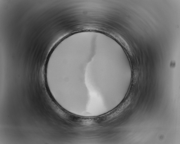 X0000102840798200809151103