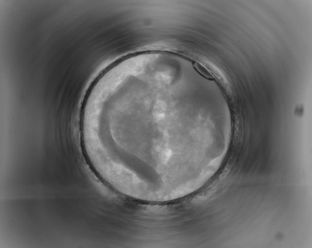 X0000102840800200809151103