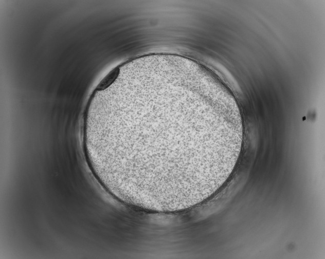 X0000102840804200809151102