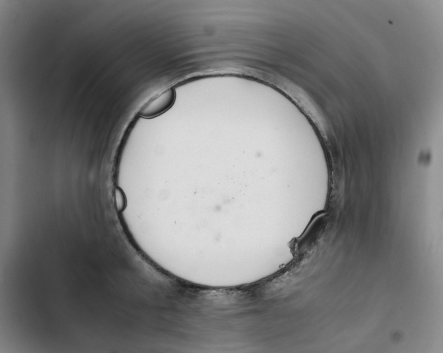 X0000102840805200809151102