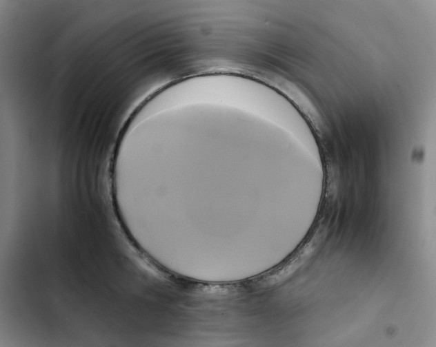 X0000102840806200809151102