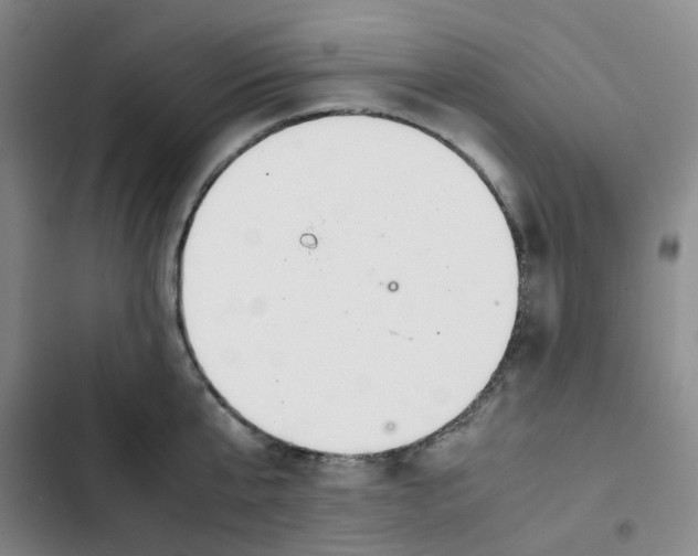 X0000102840807200809151102