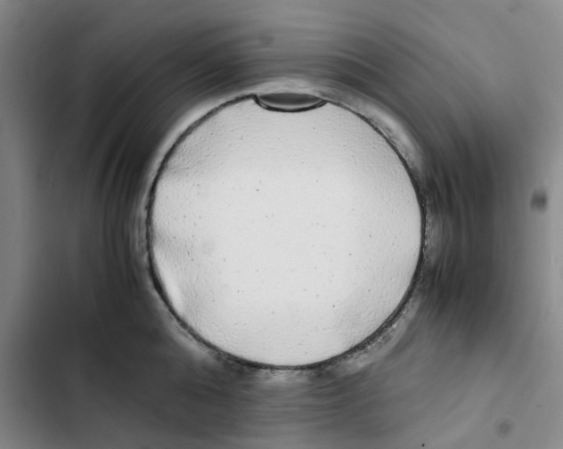 X0000102840808200809151102