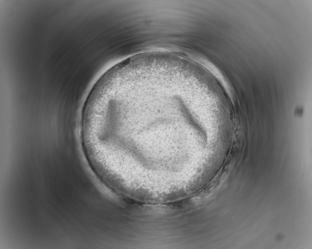 X0000102840811200809151102