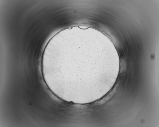 X0000102840812200809151102