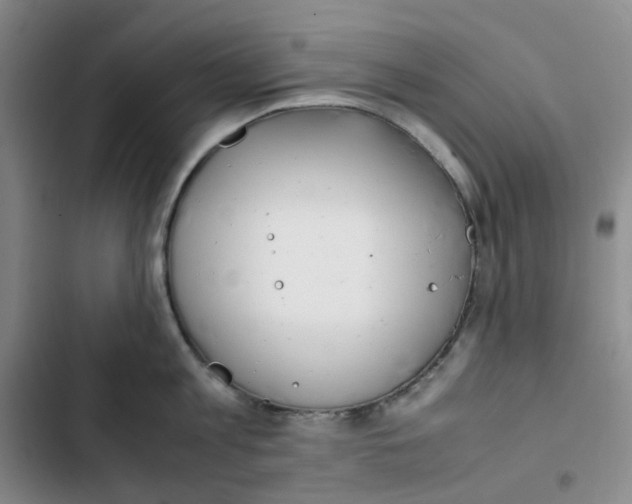 X0000102840813200809151102