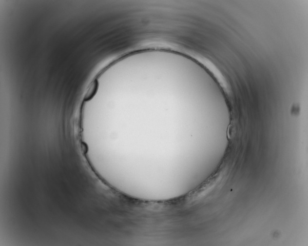 X0000102840815200809151102