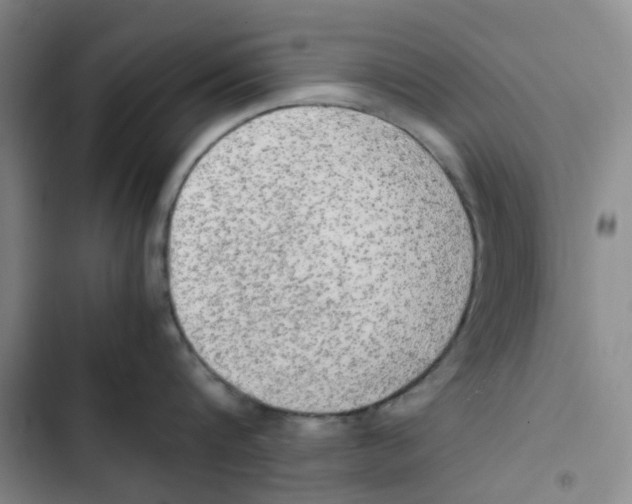 X0000102840816200809151102