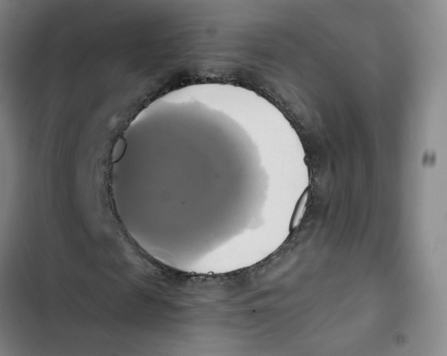 X0000102840817200809151102