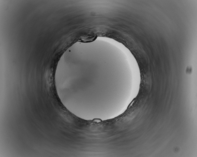 X0000102840818200809151102