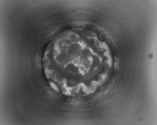 X0000102840819200809151102