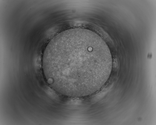 X0000102840820200809151102