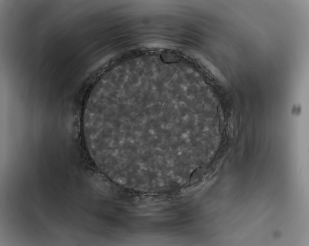 X0000102840821200809151102