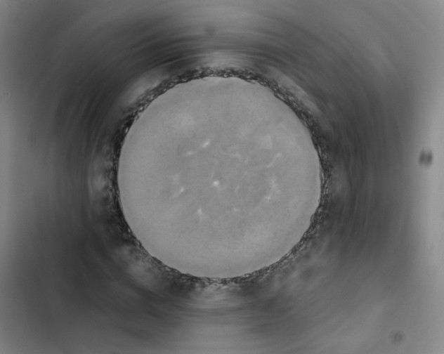 X0000102840824200809151102