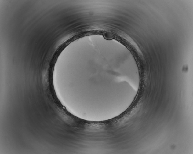 X0000102840826200809151102