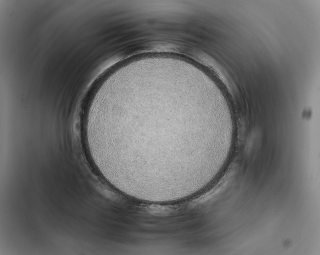 X0000102840827200809151102