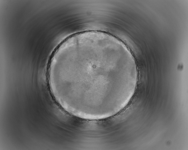 X0000102840828200809151102