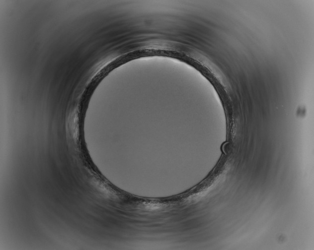 X0000102840829200809151102