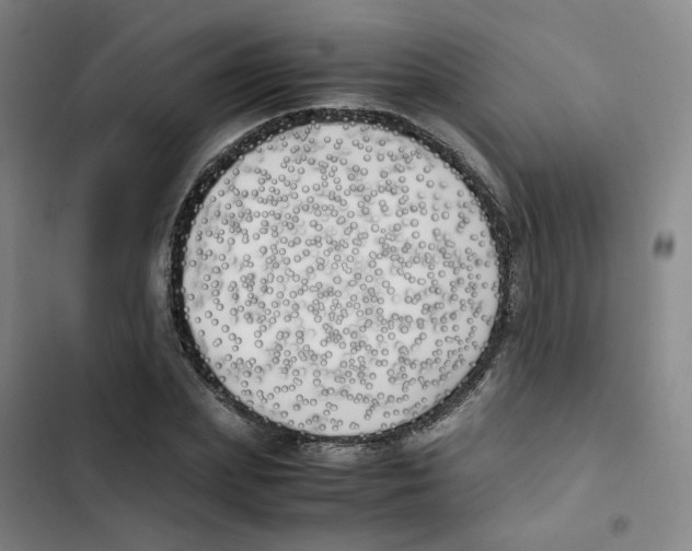 X0000102840831200809151102