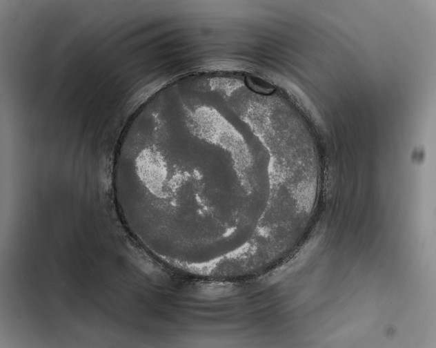 X0000102840833200809151102