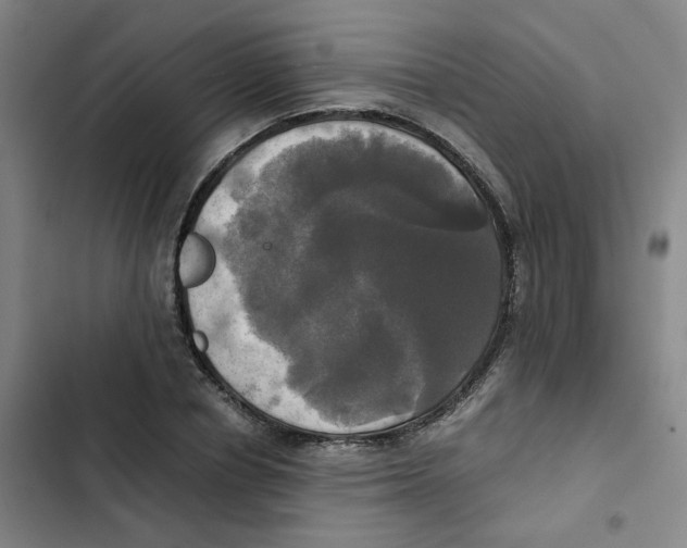 X0000102840834200809151102