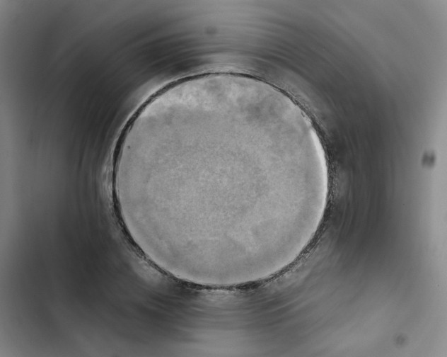 X0000102840836200809151102