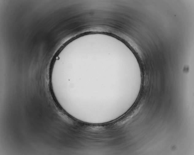 X0000102840837200809151102