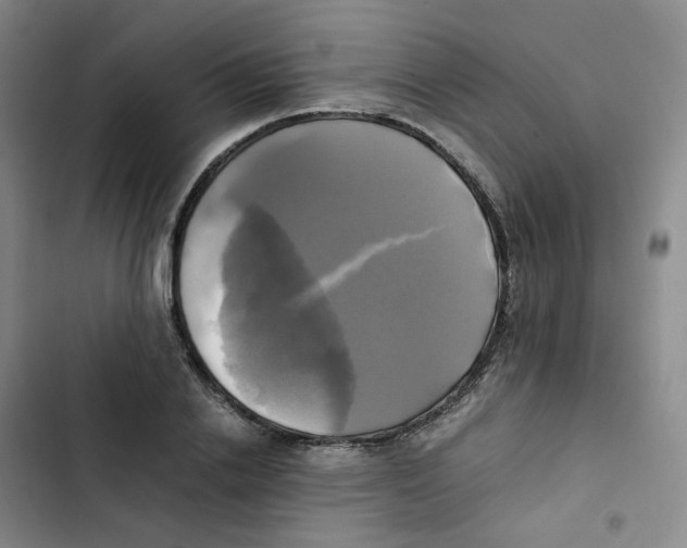 X0000102840838200809151102