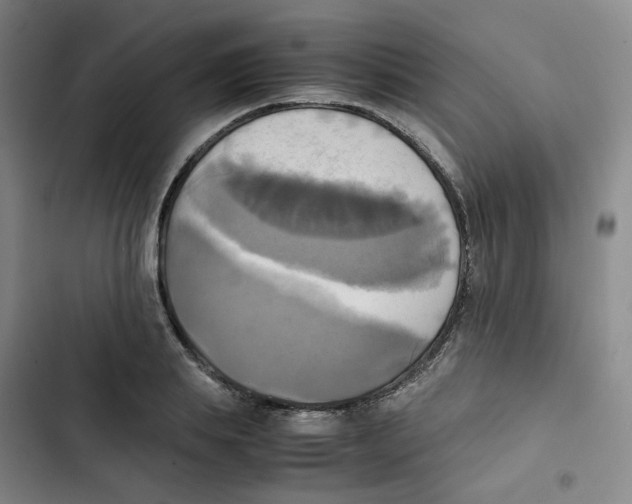 X0000102840839200809151102